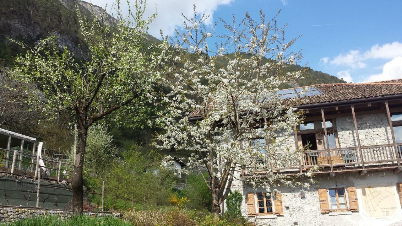 Apartment Dimora 